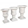 Puchar Belldeco Wenecja XL